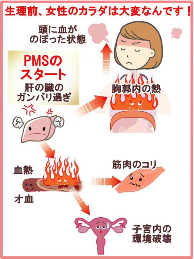 Pms Pmdd 毎月のイライラをなんとかしたい方へ 大阪市 鍼灸院 漢方鍼灸院 大阪市てんま吉祥堂